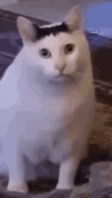 1712045275079337