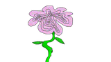 honkai star rail flower
