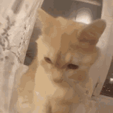 aaaaaaaaaaaaaaaaaaaaaaaaaaaaaa