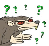 1527787005139