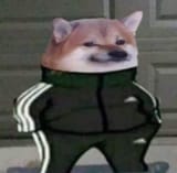 tracksuit