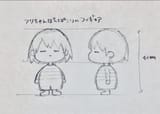 canon height