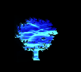 roots