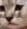 smol cat