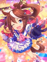 tex_support_card_30003