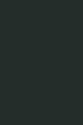 sop loop_thumb.jpg