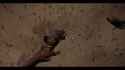 jusha_lizzy_1_thumb.jpg