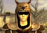 Vulpes_Inculta