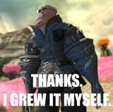 dragonfuckergrewit