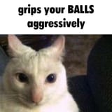 1748453313393478