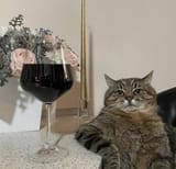 disappointedcat