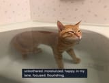 1670969099048936