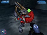 Halo1pcmajorFRG