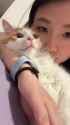 asian gf cat literally me_thumb.jpg