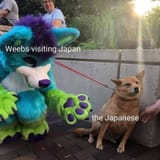 1747364973582059