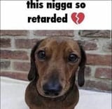 3951