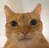 1721218250706486