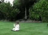 punt-kick