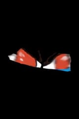 Azhdahadark