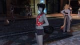 meow 2025-06-28 23-21-24 meow ffxiv_dx11