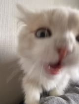 1749179773408463