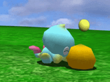 Hungry_chao_eating