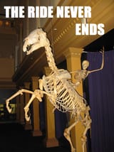 the_ride_never_ends