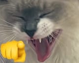1727241146654817