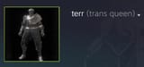 terr dsgtroon steam profile