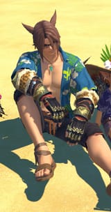 ffxiv_dx11_neNgYypEP7