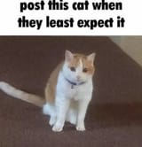 1736900579340