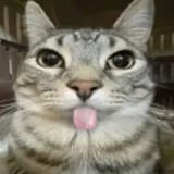 blep