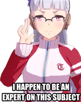 I happen to be an expert on this subject