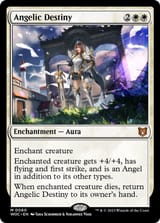 Saki Oga angelic destiny