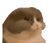 1740764975310104