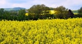 field of r