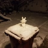noelle snowman