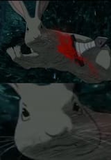 1598317310684