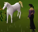 horsie