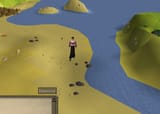 fishie