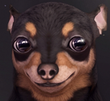 1738215282254693