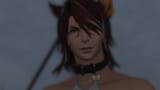 catte
