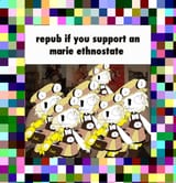 1338859205543896