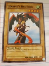 Harpie&#039;s Brother