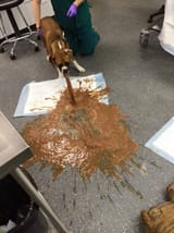 I barfed