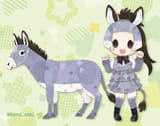 __donkey_kemono_friends_drawn_by_kikuchi_milo__2d3f481356cf90b2b716706d681e2429