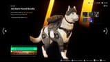 dog outfit
