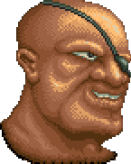 SF1MR_Portrait_Sagat