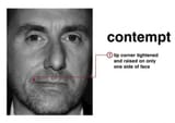 contempt