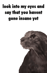 1610447277418